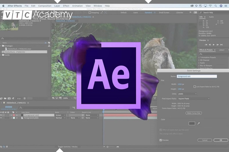 Adobe After Effects 201