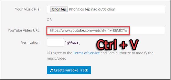 Nhấn tổ hợp phím Ctrl + V để đường dẫn link vào dòng Youtube Video URL