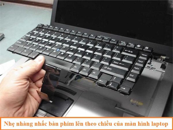 Hướng dẫn cách tháo bàn phím Laptop Asus đúng cách