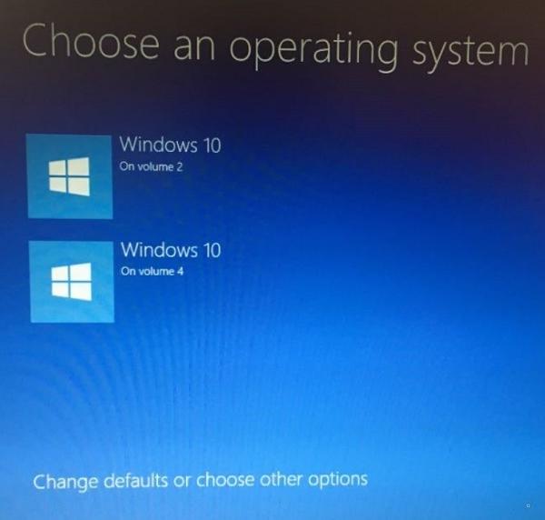 Màn hình Choose an operating system