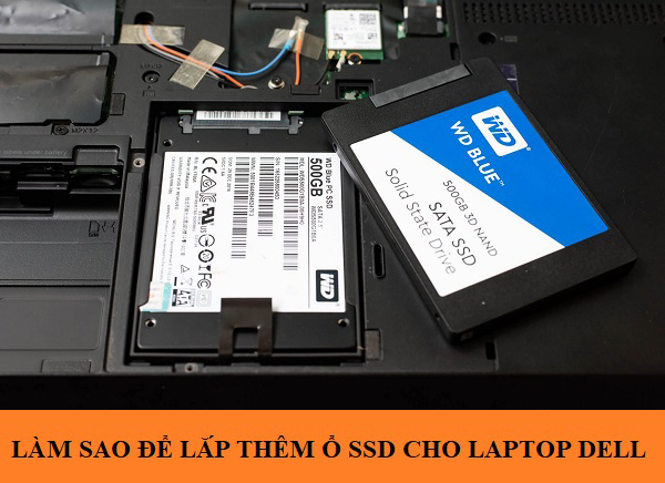 Làm sao để lắp thêm ổ ssd cho laptop dell